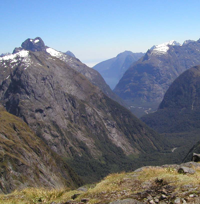 NZ0058.jpg