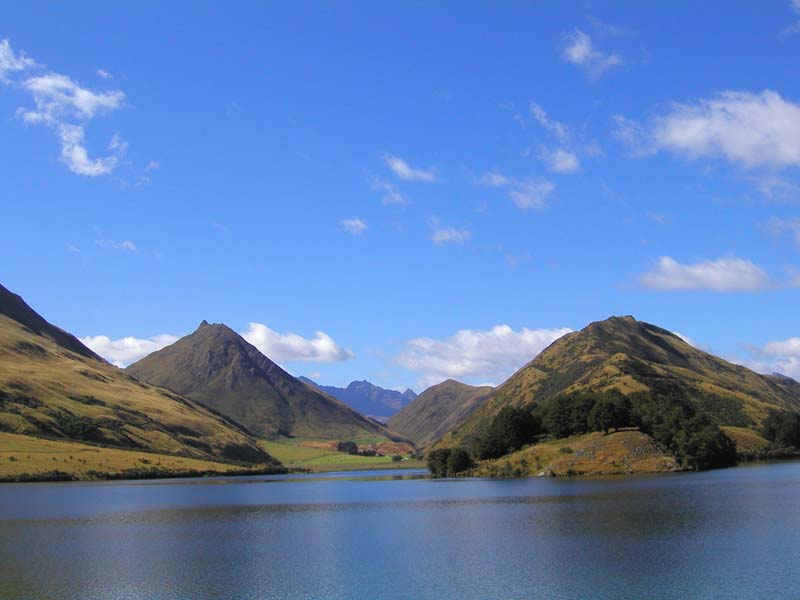 NZ0061.jpg