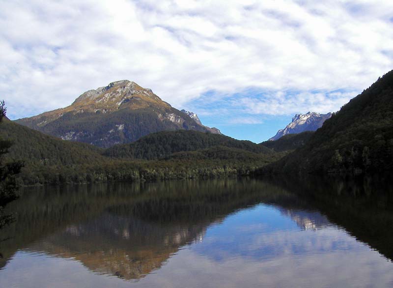 NZ0099.jpg