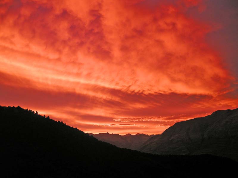 NZ0179.jpg