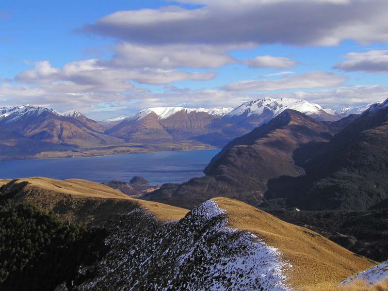 NZ0194.jpg