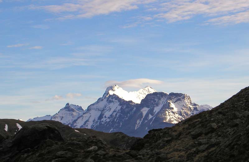NZ0240.jpg
