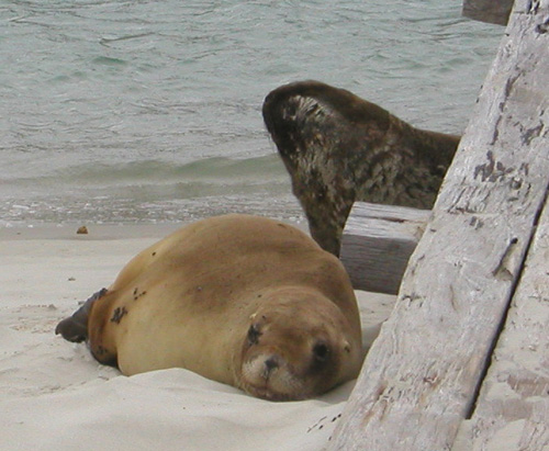 NZ0256.jpg