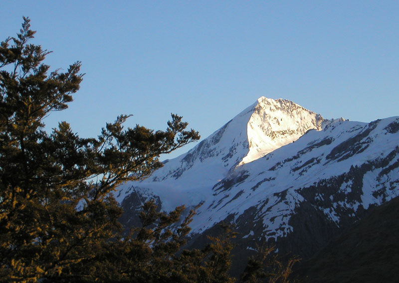 NZ0297.jpg