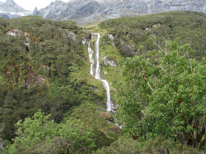 NZ0358.jpg