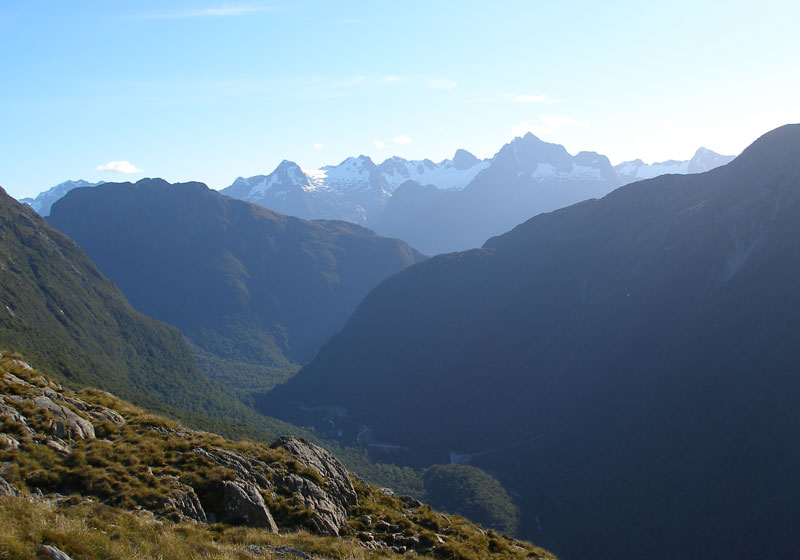 NZ0358.jpg