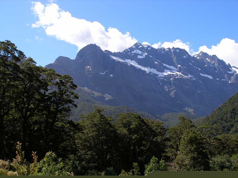 NZ0421.jpg