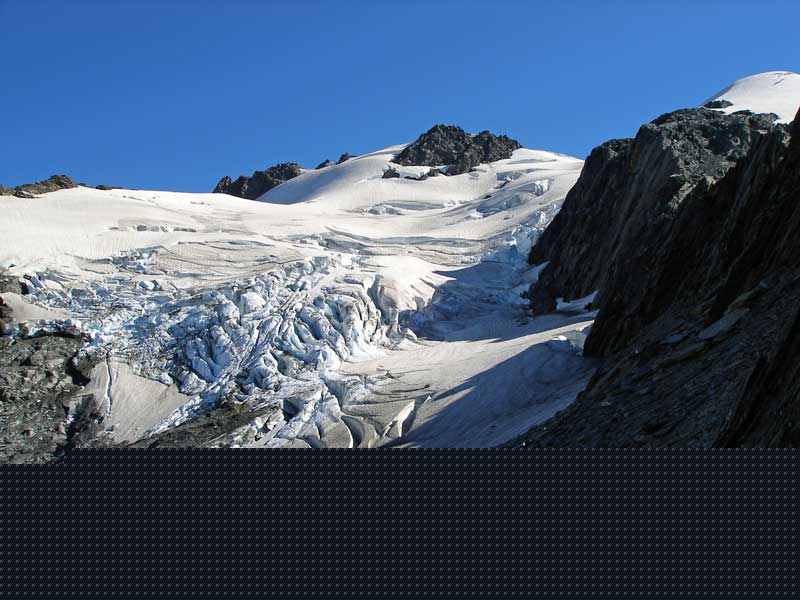 NZ0421.jpg