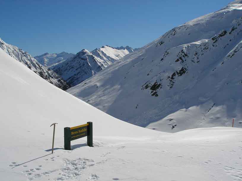 NZ0515.jpg