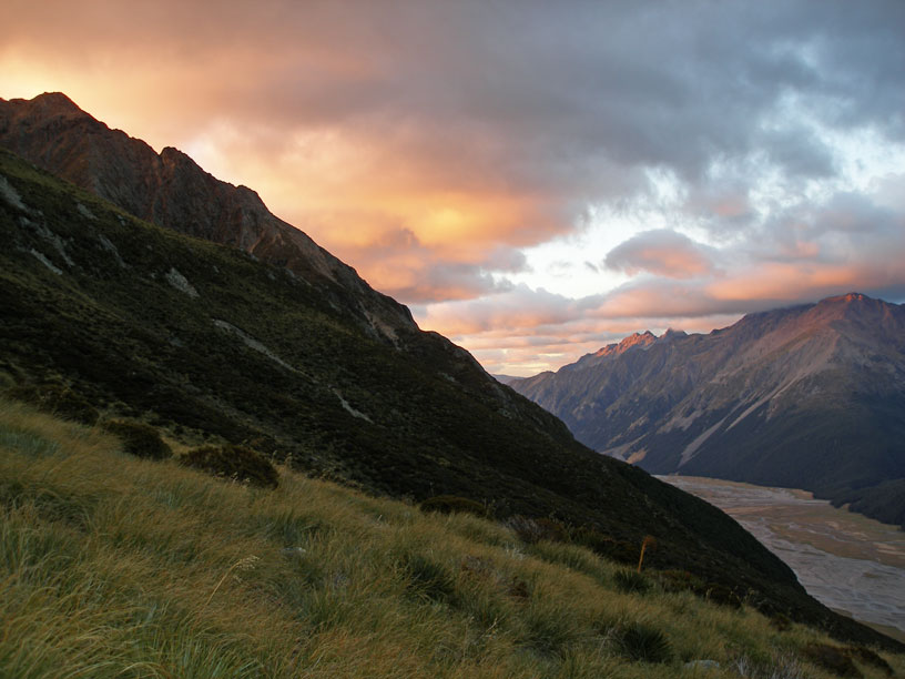 NZ0606.jpg