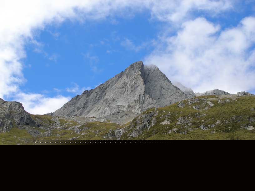 NZ0609.jpg