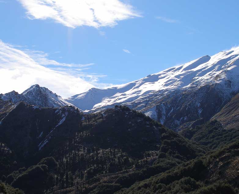 NZ0608.jpg