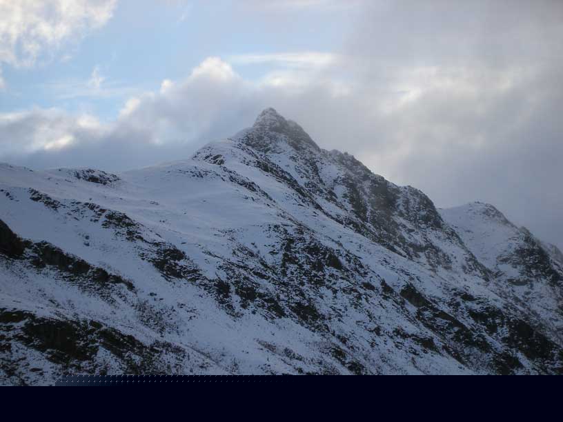 NZ0608.jpg