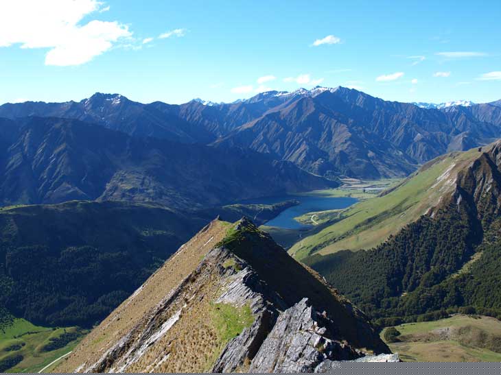 NZ0720.jpg