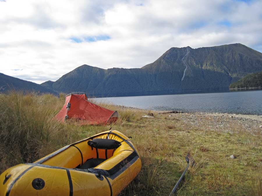 NZ3652.jpg