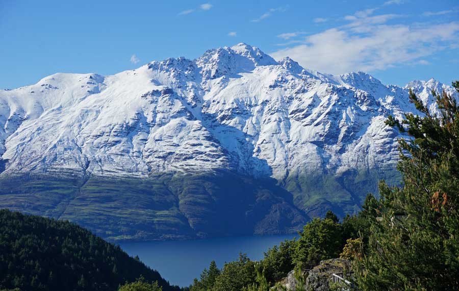 NZ3662.jpg