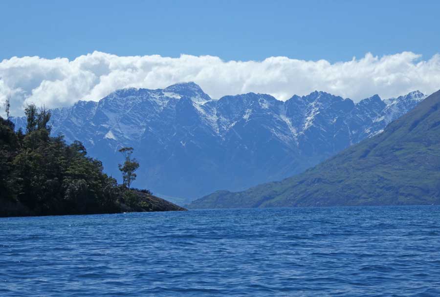 NZ3668.jpg