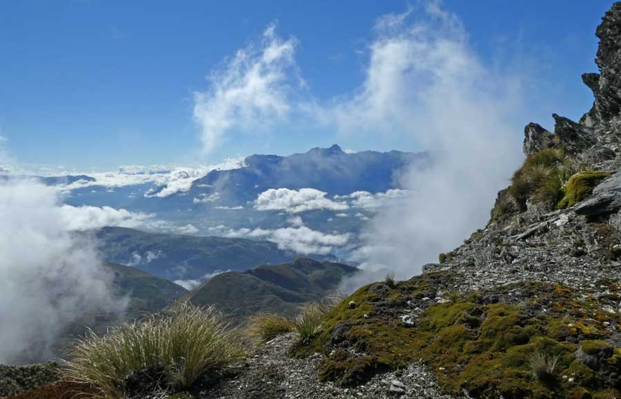 NZ3662.jpg