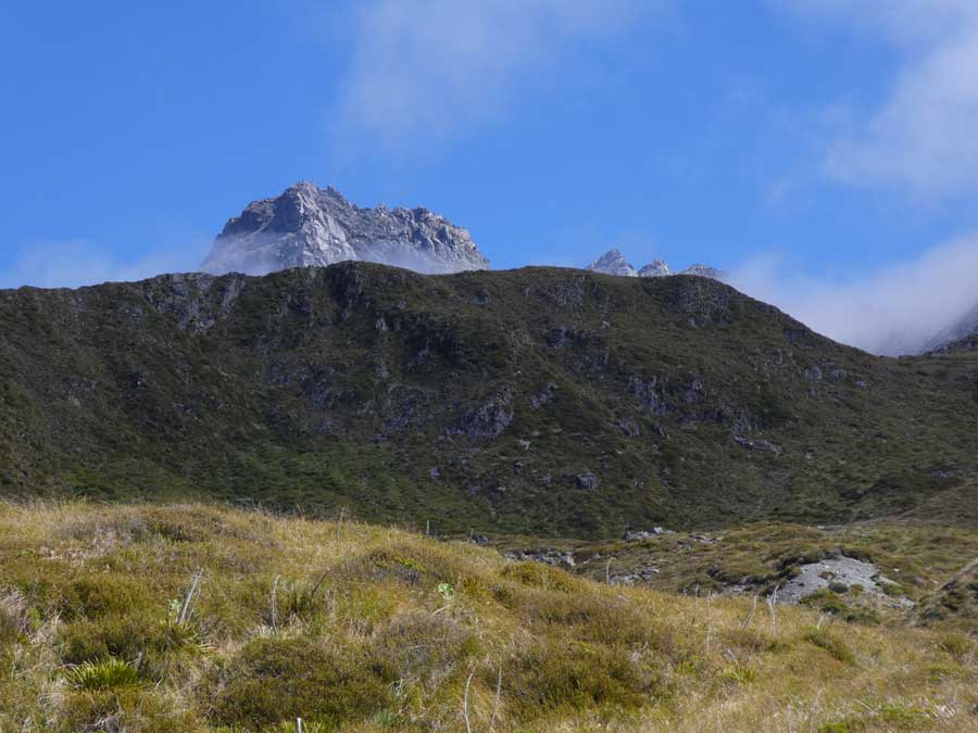NZ3801.jpg