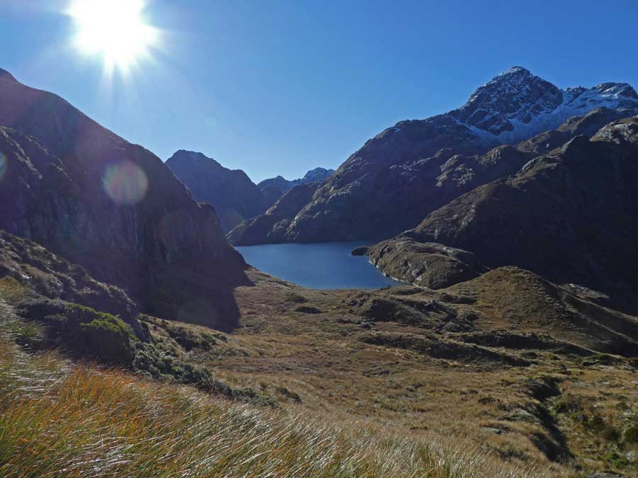 NZ3816.jpg