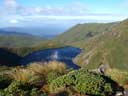 NZ1012