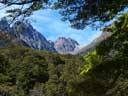 NZ1201