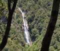 NZ2004