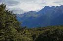 NZ3365